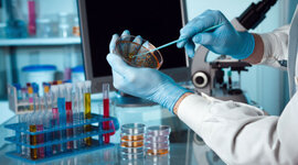 Timeline: Bioteknologi