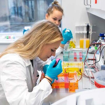 Timeline: Bioteknologi Erik