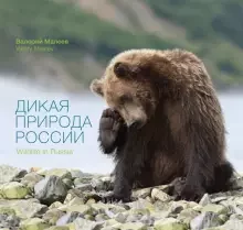 государственный проект «Дикая природа России: сохранить и увидеть»