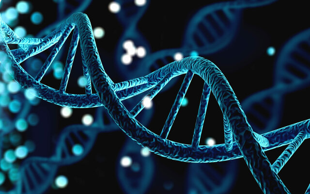 Første bilde tatt av DNA