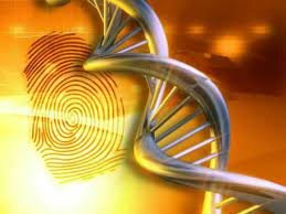 En person ble dømt etter "genetisk fingeravtrykk"