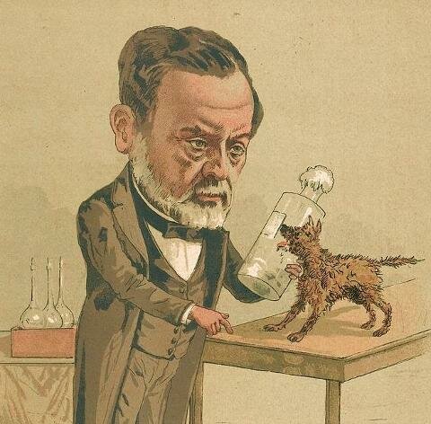 Mikroorganismane oppdages