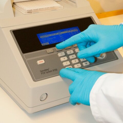 DNA "kopimaskin" blir funnet opp