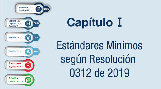 Resolución 0312