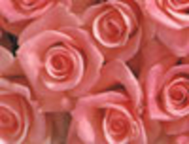 Order of the Rose recognition for 50 years of membership created