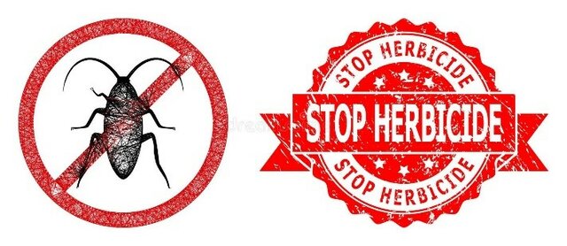 Avances en la creación de plantas transgénicas