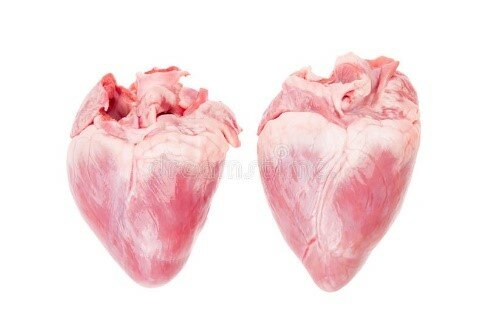 Transplante de corazón de de cerdos