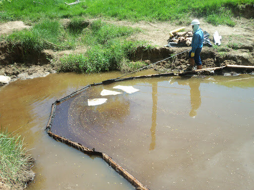 Tratamientos del agua( Biorremediacion)
