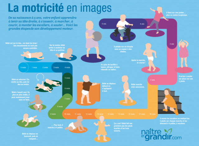 Le Big Bang des Synapses