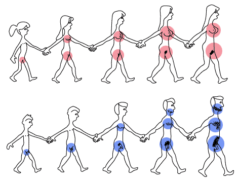 L'influx Nerveux Passe à Haut Débit