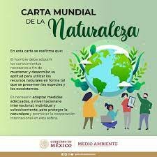 Relación entre Desarrollo y Educación