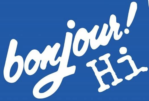 Lutte parlementaire sur la langue