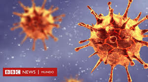 aparece el virus covid 19