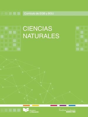 (Fernández, 2010) Currículo como disciplina