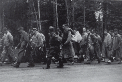 russi alle porte di Auschwitz-Birkenau