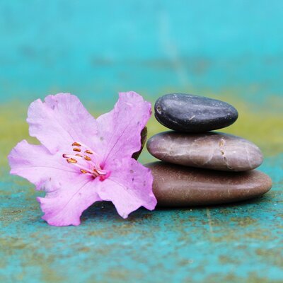 Timeline: EDAD DE PIEDRA