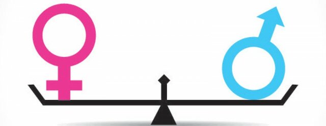 Llei per a la igualtat de dones i homes (2007)