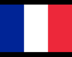 INTERVENCIÓN FRANCESA