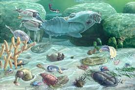 1st most complex life forms: 9:07