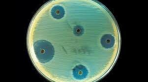 Comercialización de la penicilina.