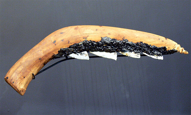 Revolucion Neolitica