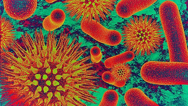 Estudios a traves de bacterias y virus