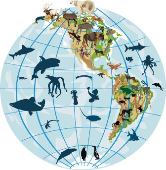 ALFRED RUSSEL WALLACE