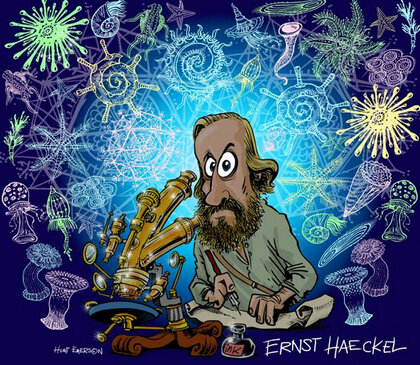 ORIGEN del termino Ernst Haeckel