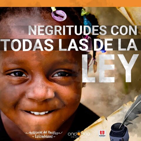 Ley 70/1993