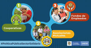 Ley 134 - Modelo solidario