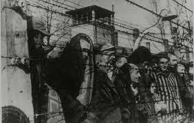 el ejército rojo logra liberar a gran parte de los judíos