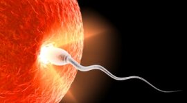 Timeline: DESARROLLO HUMANO