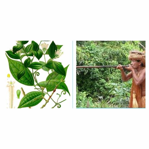 Técnicas de relajación.