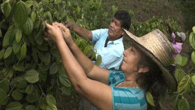 Los costos económicos del enfrentamiento armado