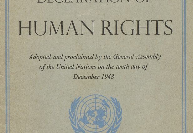 DECLARACIÓN UNIVERSAL DE LOS DEREHOS HUMANOS
