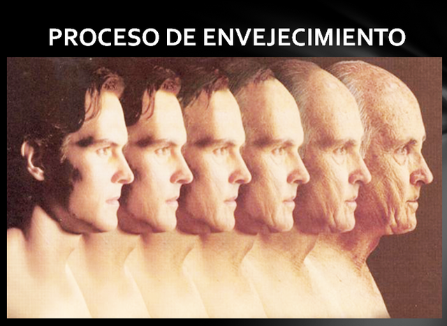 ENVEJECIMIENTO PRIMARIO