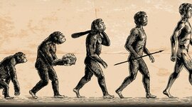 Timeline: Charles Darwin (02/12/1809 - 04/19/1882)