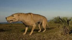 First dinosaurs and mammals