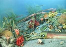 Age of the fish: 21:37