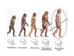 40000 A.C. Aparició homo hàbilis. Prehistòria