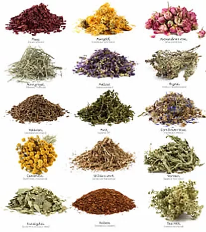 Medicina natural Naturopatía 1895