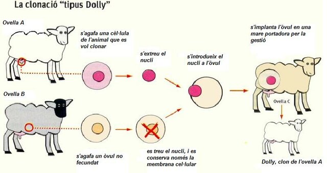 Fets culturals i científics.