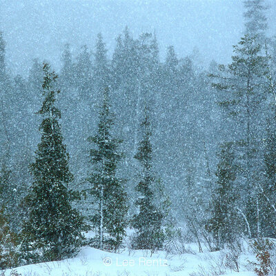 Timeline: Snow Falling on Timeline