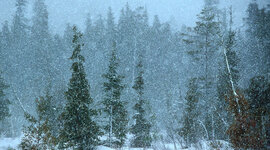 Timeline: Snow Falling on Timeline