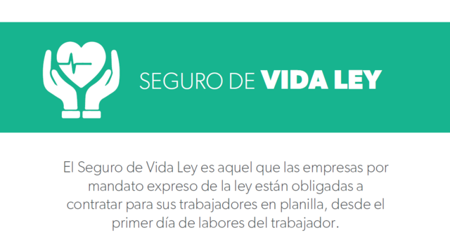 Ley del seguro social obligatorio (S.S.O)