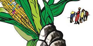 Justicia social con la tierra y sus campesinos