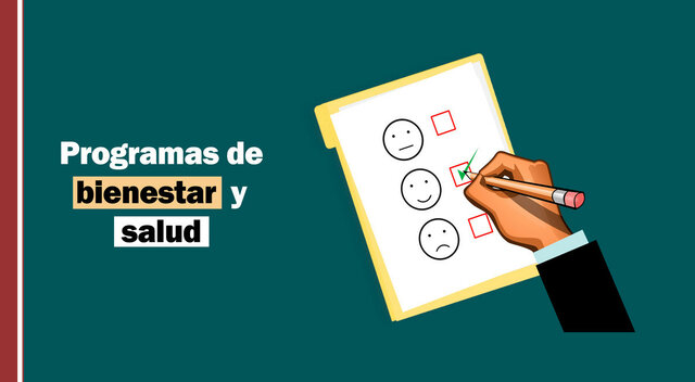 Programas de salud ocupacional