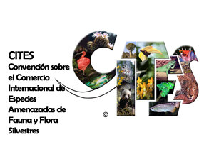 Convención sobre Comercio Internacional de Especies Amenazadas de Fauna y Flora Silvestres CITES