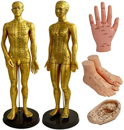 Medicina Tradicional China.