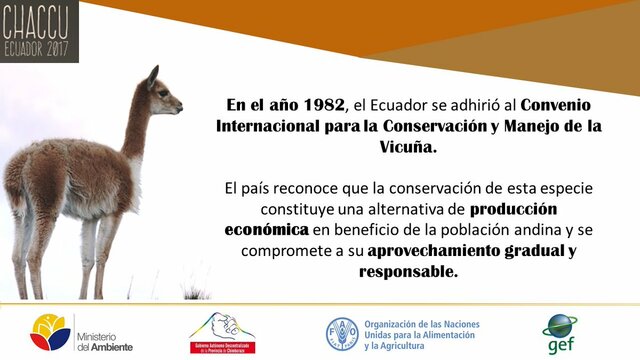 Convenio para la conservación y Manejo de la Vicuña